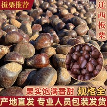 �w�������ؔ��ð����_���Լҹ��@�Nֲ ���߰�¶Ʒ�N�a�ذl؛