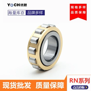 厂家批发 圆柱滚子轴承 RN313EM摆线减速机偏心轴承RN314EM