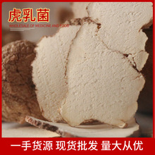 虎乳菌切片 批发儿童老虎奶菌片虎乳灵芝 散装云南干货虎奶菌