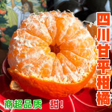 四川甘平柑橘子新鲜水果当季丑八怪柑橘粑粑柑桔顺丰礼盒