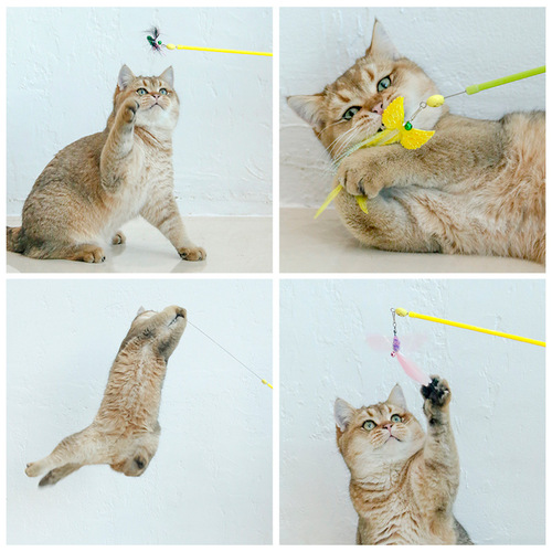 Extended cat teasing stick, cat teasing pole, replacement head combination, kitten sports interactive self-pleasure toy, cat relief