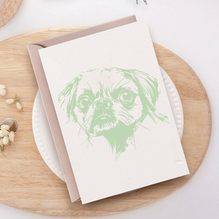 Creative Pattern Lion Dog Template Cross-Border Dropshipping Hot-Selling Painting Stencil Wall Painting Journal Decoration Masking Board