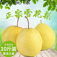 ����ѩ��ѩ���殔�����rˮ�����ӷǻʹ�����������510����]