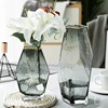 Light luxury and cold lines of golden edge waves of geometric glass vase gray transparent flower arrangement lily European home decoration