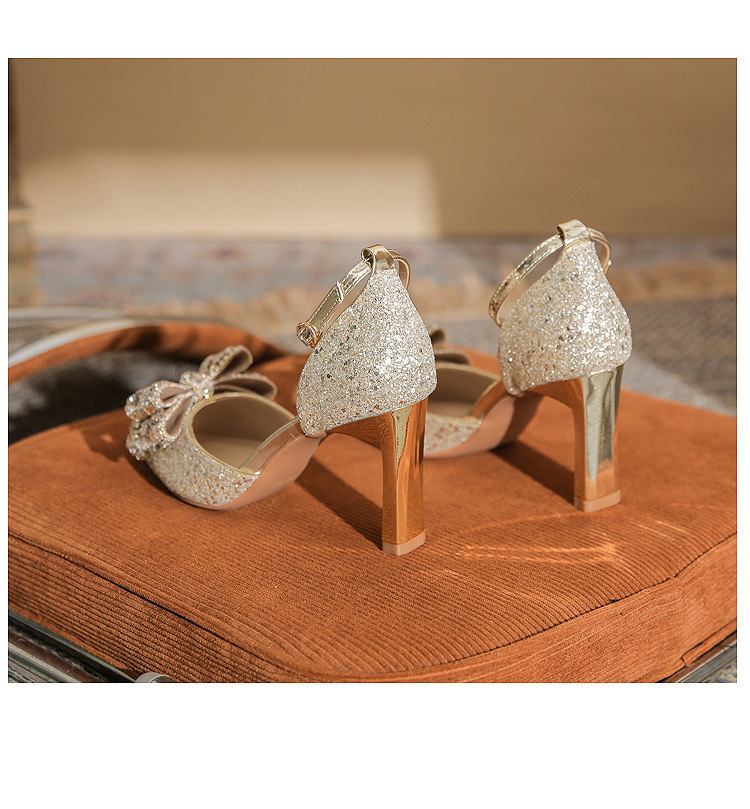Giày cao gót nữ mũi nhọn nơ sequin gót nhọn CH8006-3 — Màu Sâm panh chi tiết 24