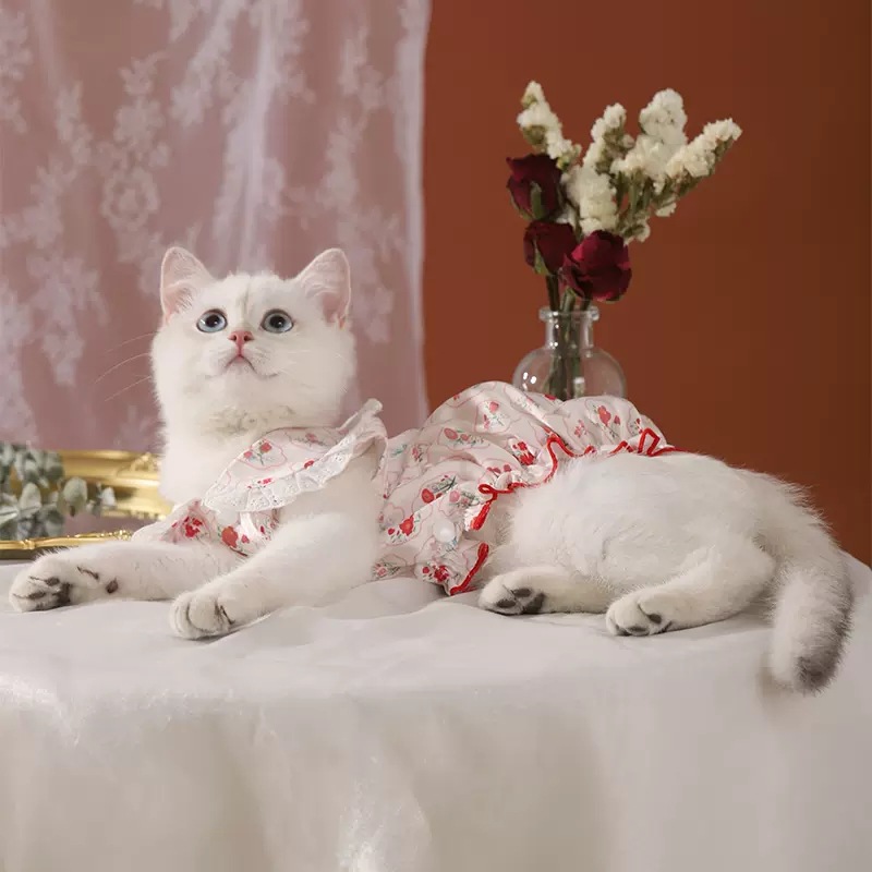 Baihua Blooming burbuja vestido de vestir ropa de gato anti-pelusa primavera mascota gatito primavera y verano fresco Delgado