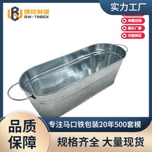 铁皮桶镀锌金属田园种植多肉盆栽花盆花卉盆栽工艺品手提小铁桶