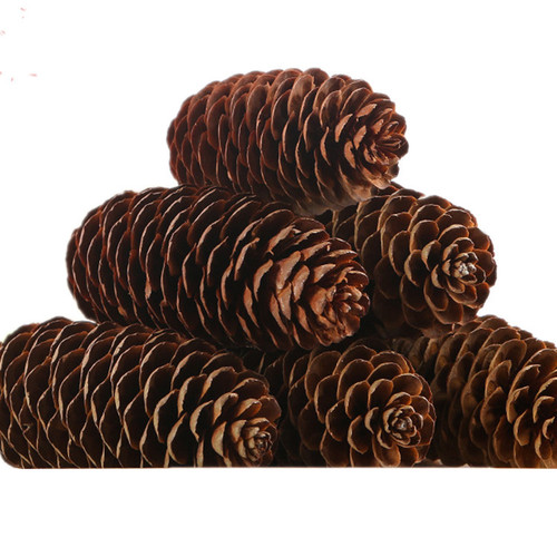 Large supply of big forest spruce pine cone pine cone Christmas decorations pine cone ball hangings shooting props wholesale