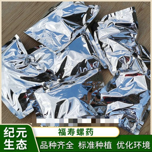 Pomacea canaliculata medicine bovine Pomacea canaliculata soft pest insecticide river cleaning insecticide molluscicide factory supply