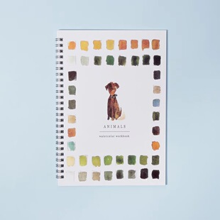 �羳��Ʒwatercolor workbook ˮ�ʌ�����ɫ�������Ի��Bˮ�ʮ���