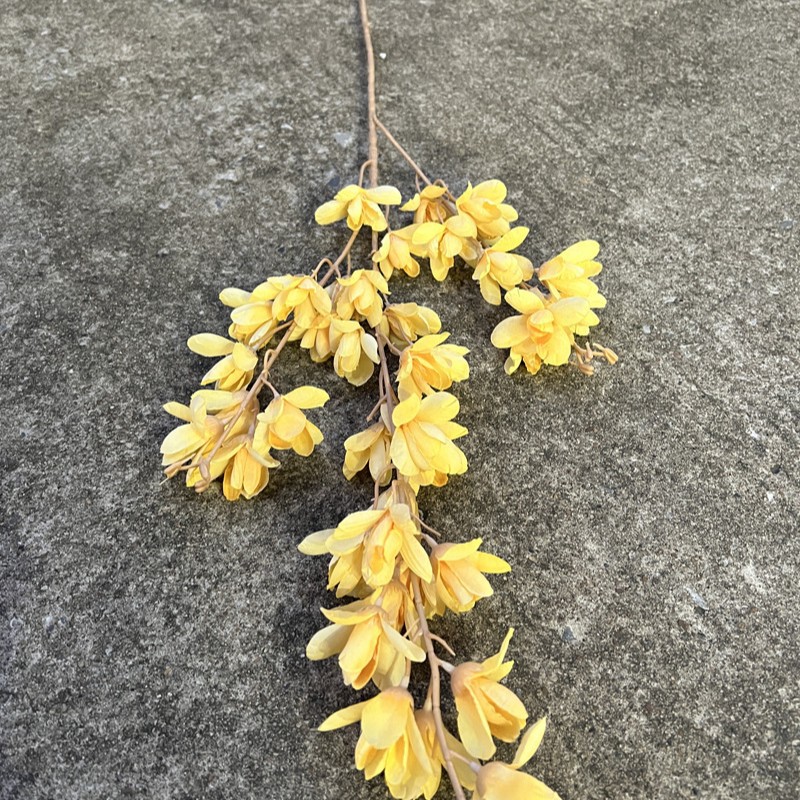 Nueva fábrica de flores artificiales de la boda amarillo leche amarillo limón amarillo fresco al aire libre Salón de la boda decoración flor falsa al por mayor