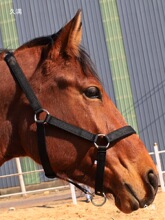 ��ͨ�\�^ �R�g��Ʒ�R�\�״�С���R���^�R�����^�����ȫ��ȫ����