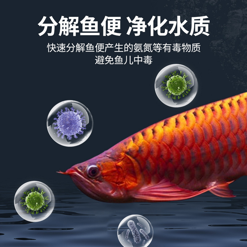 硝化細菌水槽専用生菌浄水剤水質清澄剤水質浄化メチレンブルー過マンガン酸カリウム|undefined
