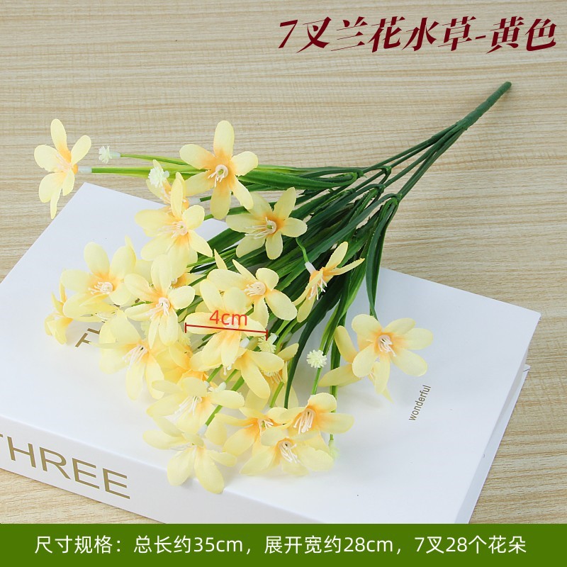 Aquatic plants, orchid
