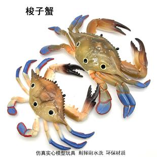 �羳���挍�ĺ�������ģ������з���cз �з �t��з���ģ�����l