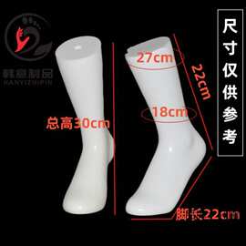 。厚左右无缝脚模磁铁脚模左右一双袜子展示道具长袜短袜展示脚