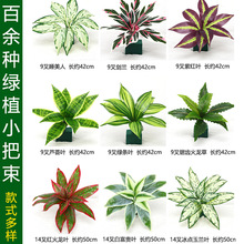 ����Gֲ�S�����l�Gɫ�~�ӱ������廨�쾰�����bzӰ���Ք[��