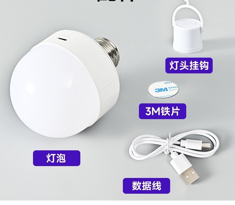 电池供电球泡RGB遥控无线可拆卸灯泡非硬接线壁灯台灯光源 可充电