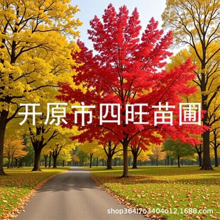 �����|�������ͺ����� �����t�������� �����t��Ҏ���Rȫ