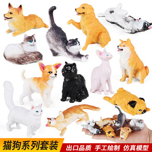 ���挍�Ą���ģ�͟oë؈��ż؈�����޽�ë�˸�Ȯ�Ȍ��J֪������