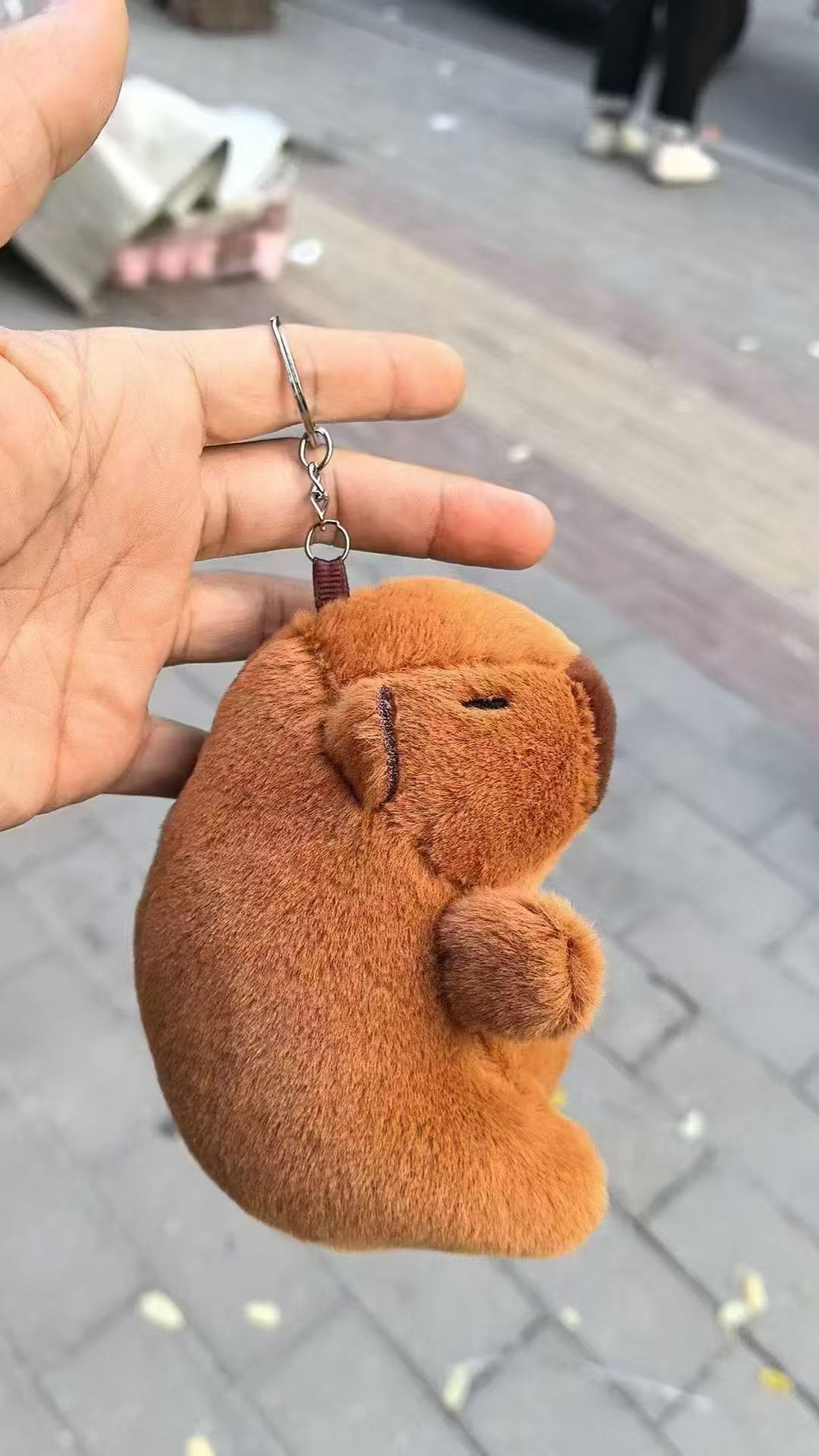 仏陀系の萌えはかわいいカピバラの君をかわいがります。