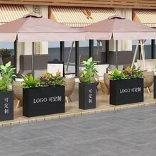 ���P��������仨�ػ������⻨��M���ۘǲ��̘I�V�������Fˇ����