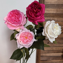 �����ָ���֦õ����滨�ҾӔ[����Ʒ�|ܛ�b��Ʒ�W˹͡һ�����l