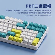 98�I�o���I�P��ģ�{���Cе�I�P�о��Cе�I�PRGB������ƻ��I�P