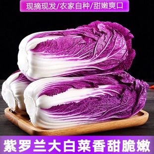 �ϰײ���ɫ��ײ��ϰ��Ĳ�ɽ�|��ײ˻������߲�