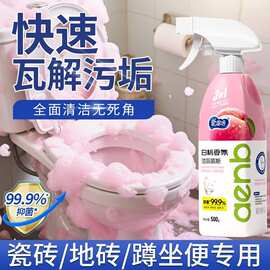 爱恩倍马桶清洁剂慕斯清洁剂洁厕灵除垢去黄除500g 代发