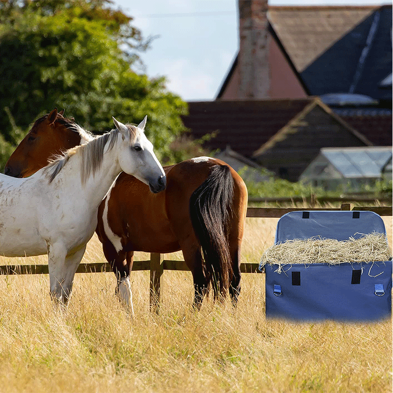 O1CN01kOSLe21xIrqN152Kk_!!2208