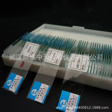 43501单层扁平上皮装片人体四大组织上皮组织初高中生物切片盒