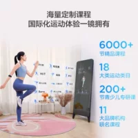 FITURE SLiM Boiling Magic Mirror AI Умное фитнес-зеркало PRO 6000 с пожизненным курсом Single Mai Chang K Edition