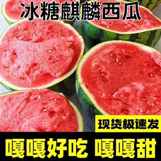 当季新鲜水果8424麒麟头茬瓜薄皮西瓜现摘现发脆甜多汁瓜包甜包熟