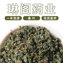 厂家批发散装 山东新货霜桑叶   桑叶茶 桑叶颗粒 量大从优