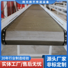 加工高温网带输送线 化工颗粒输送机 人字网加密风冷设备厂家定制
