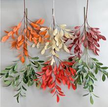 c滨5N~ Yò廨ҾbGֲ~l