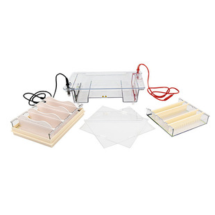 Agar Sugar LEvEl ElEctrophorEsis InstrumEnt DYCP-31E TypE Liuyi LEvEl ElEctrophorEsis Tank MEdium PCR ElEctrophorEsis 96 HolEs