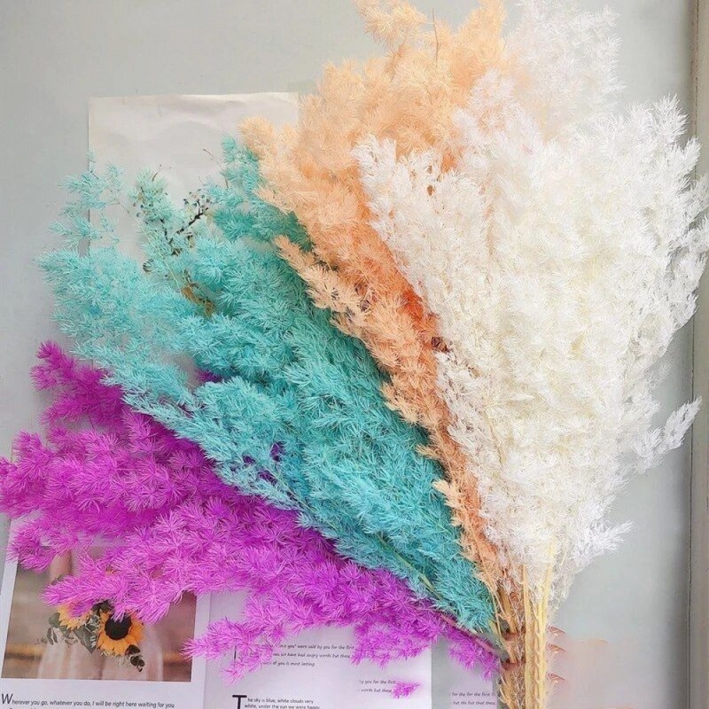 永遠のドライフラワー蓬莱松プリザーブドフラワー diy 花束手作り素材ギフト花素材結婚式ホームフラワーアレンジメント装飾|undefined