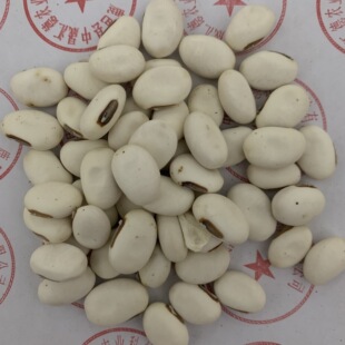 �¶� ���С�׶�С��ܿ�� �ļ����r���ԷN�Ҝ���������s�Z