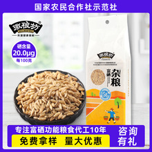富硒燕麦米 五谷杂粮燕麦仁 燕麦米真空袋装会销礼品燕麦仁