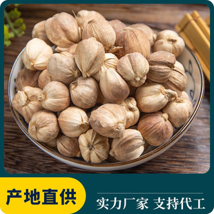 �׶�ޢ ��؛��ș���{ζ���� �����ϻ�偵��ϰ�ޢ��Դ�a��ֱ�����l
