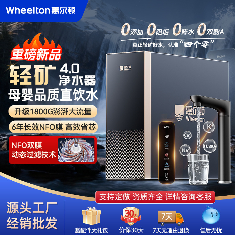 惠尔顿家用净饮机净水机双水直饮1800G反渗透厨下式净水器
