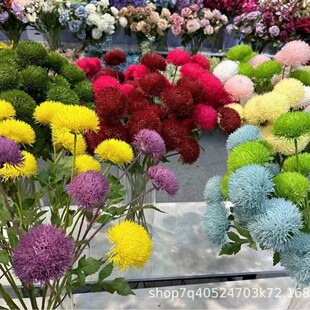 ��c���滨3�^ʯ���c�廨��Y����b���Y�ò��üٻ�����