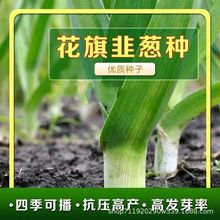 ڻ[Nѳ|Ʒ~[ͺļ̨߲˷N