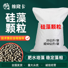 חwˮaBֳÏͺNrз~ˮ{ˮBh