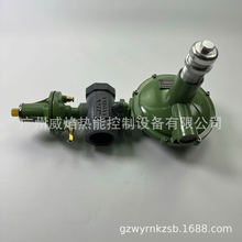 R47S-42APȼД{yw˹Raygas