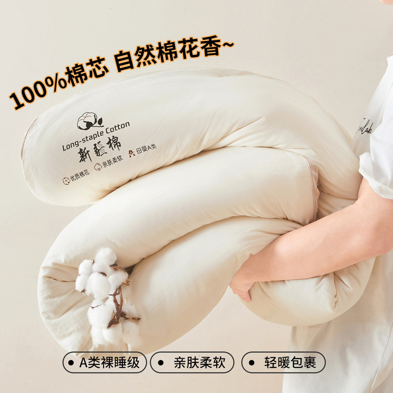 A类母婴级100%新疆棉花被春秋被加厚冬被夏凉被全棉学生宿舍被芯|undefined