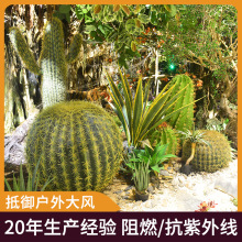 �S�����l���������� ������ �����ƼҾ��b����ԾGֲ�Ꭷֲ���辰