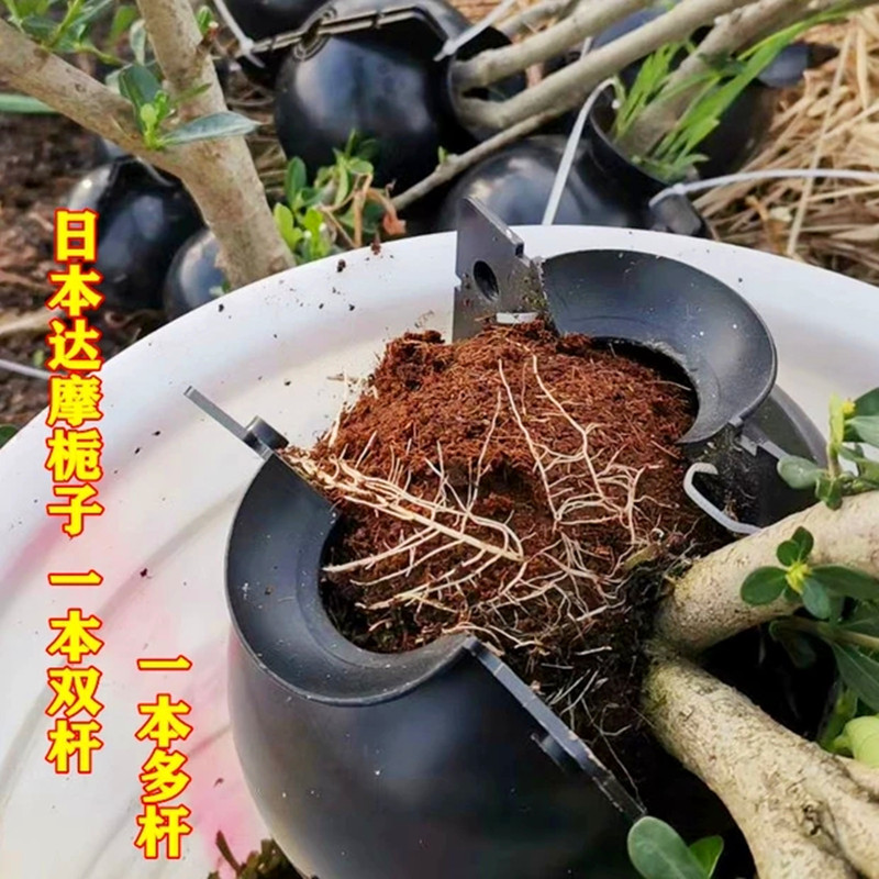 1619088882534_副本